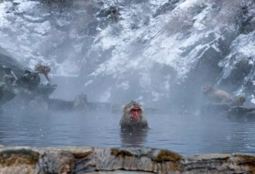 Fotos del hotel Ryokan Suminoyu:  16