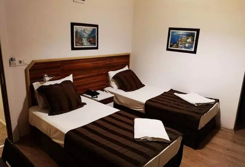 Fotos del hotel Angels Garden:  10