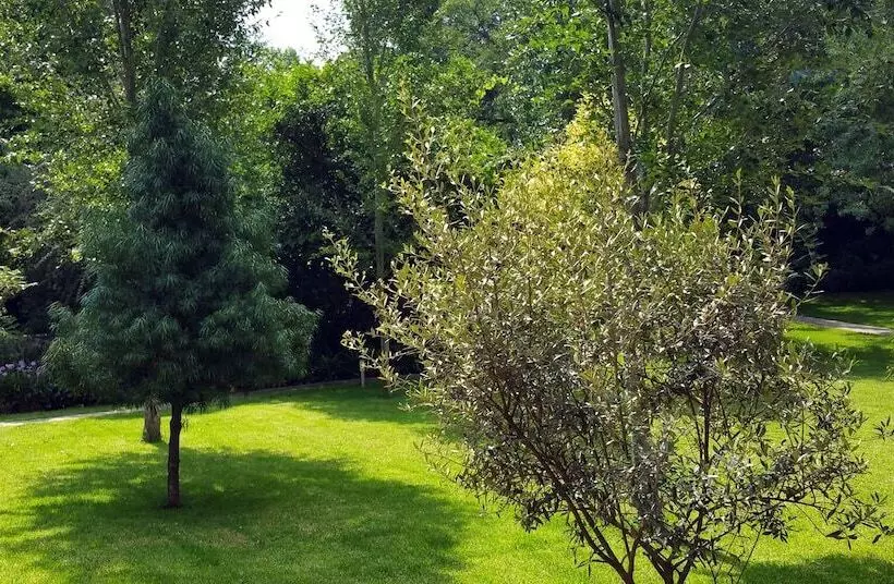 Fotos del hotel Sandton Lodge Rivonia:  8