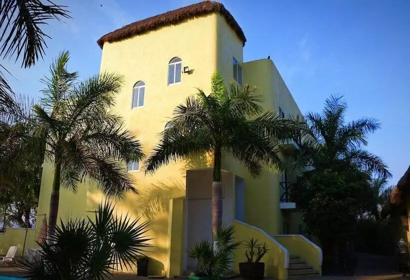 Fotos del hotel Zar Manzanillo:  16