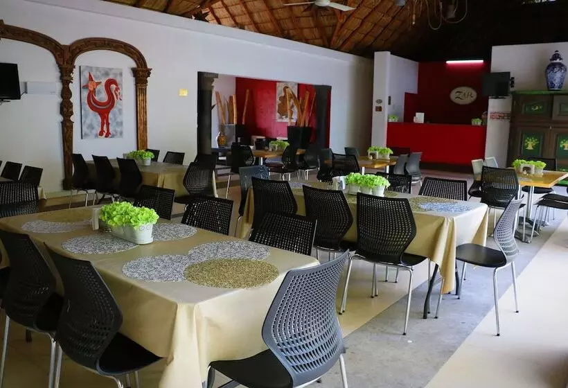 Fotos del hotel Zar Manzanillo:  13