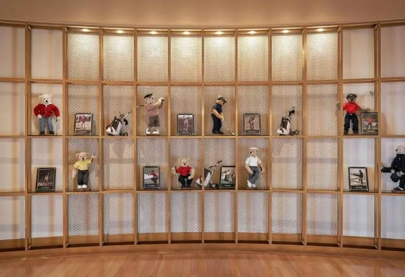 Fotos del hotel Teddy Valley:  9