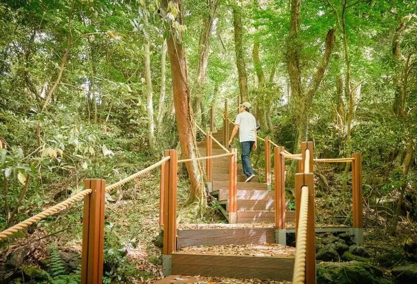 Fotos del hotel Teddy Valley:  17