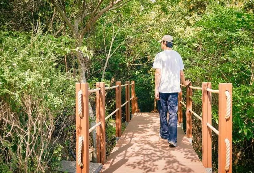 Fotos del hotel Teddy Valley:  24