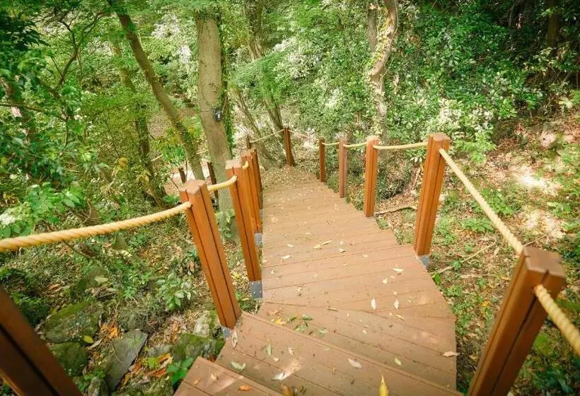 Fotos del hotel Teddy Valley:  14