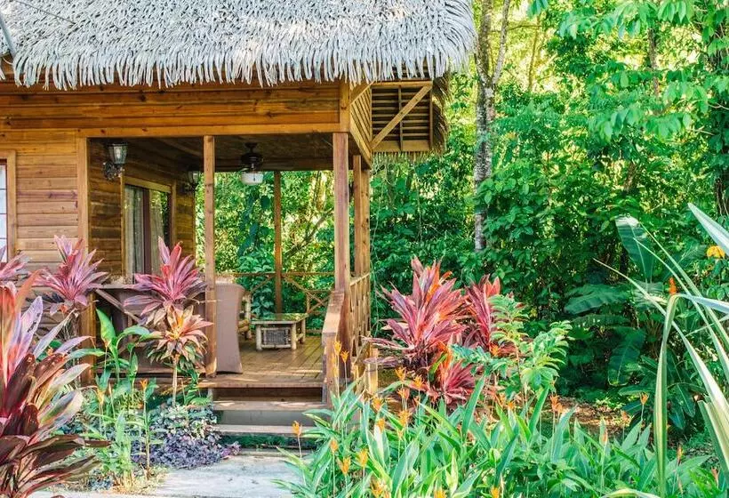 Fotos del hotel Red Frog Beach Island Resort:  25