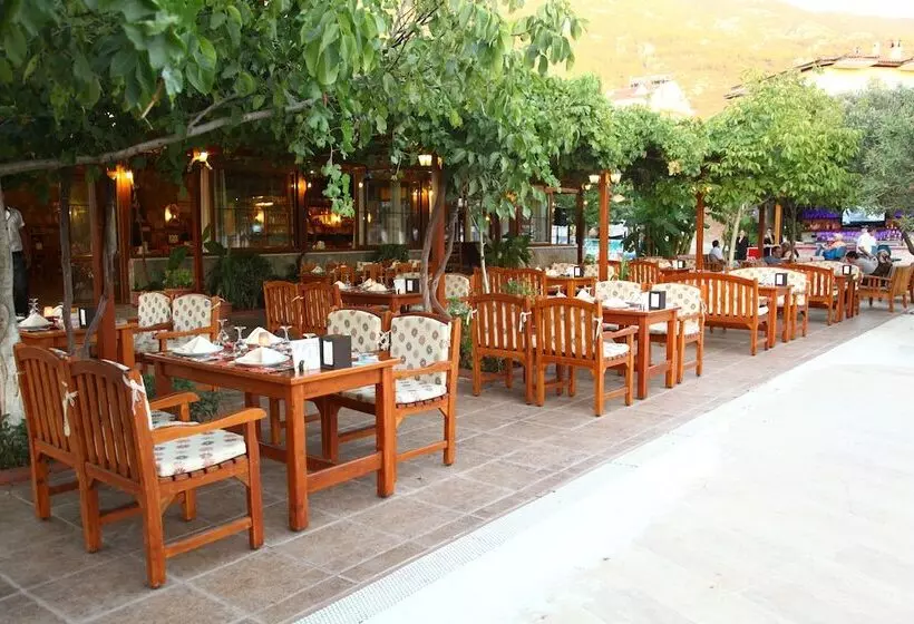 Fotos del hotel Gokcen  & Apartments:  9