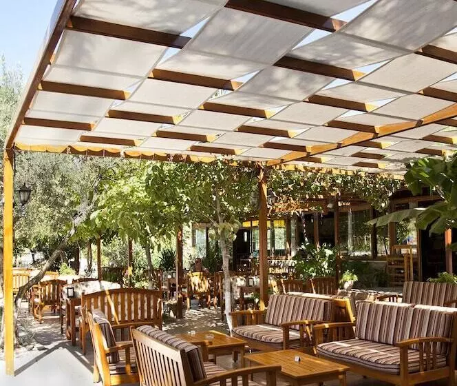 Fotos del hotel Gokcen  & Apartments:  11