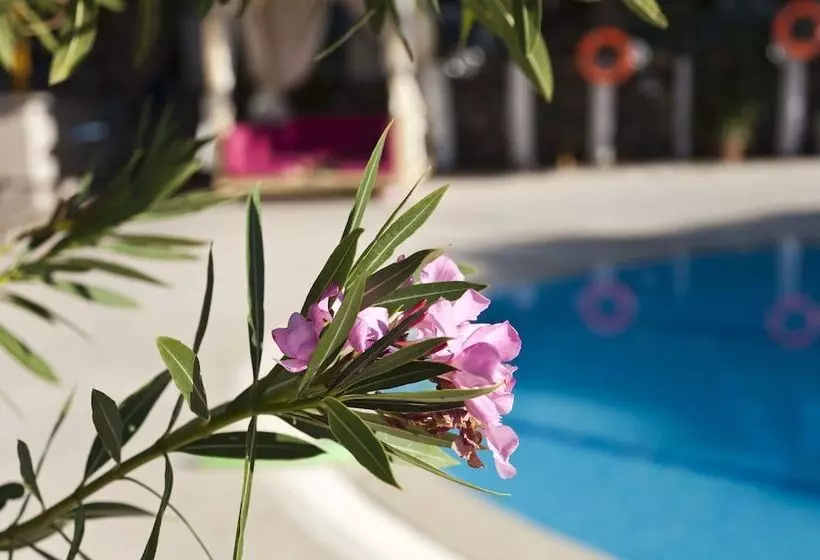 Fotos del hotel Gokcen  & Apartments:  15