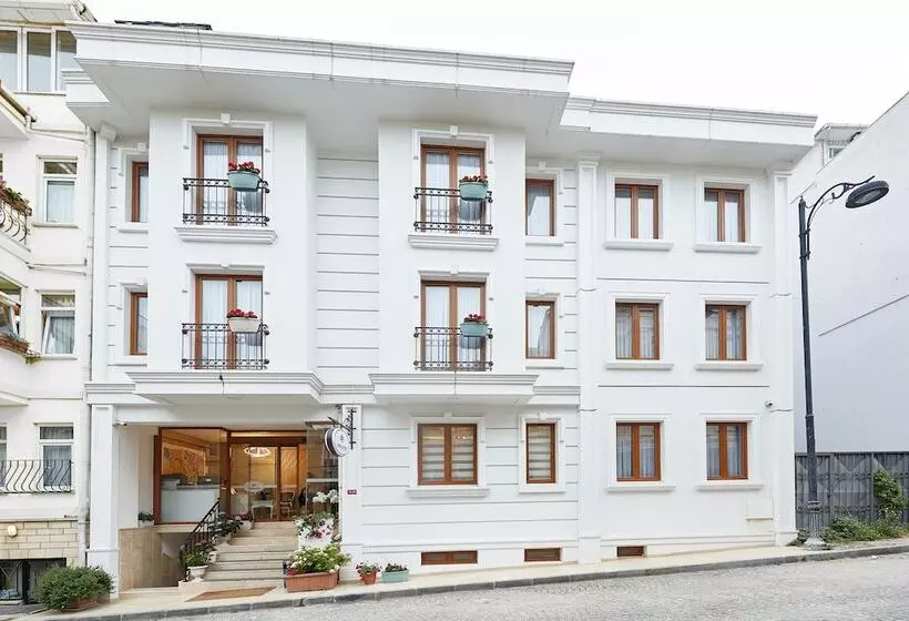 Fotos del hotel Albinas  Old City:  12