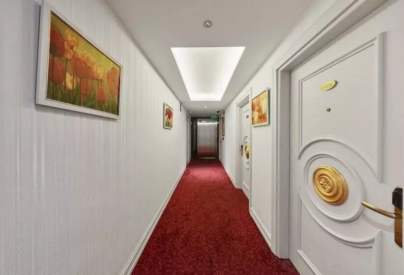 Fotos del hotel Albinas  Old City:  16