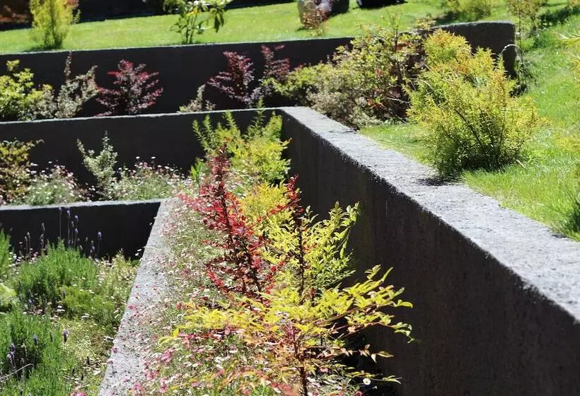 Fotos del hotel Hotel Manquehue Puerto Montt:  5