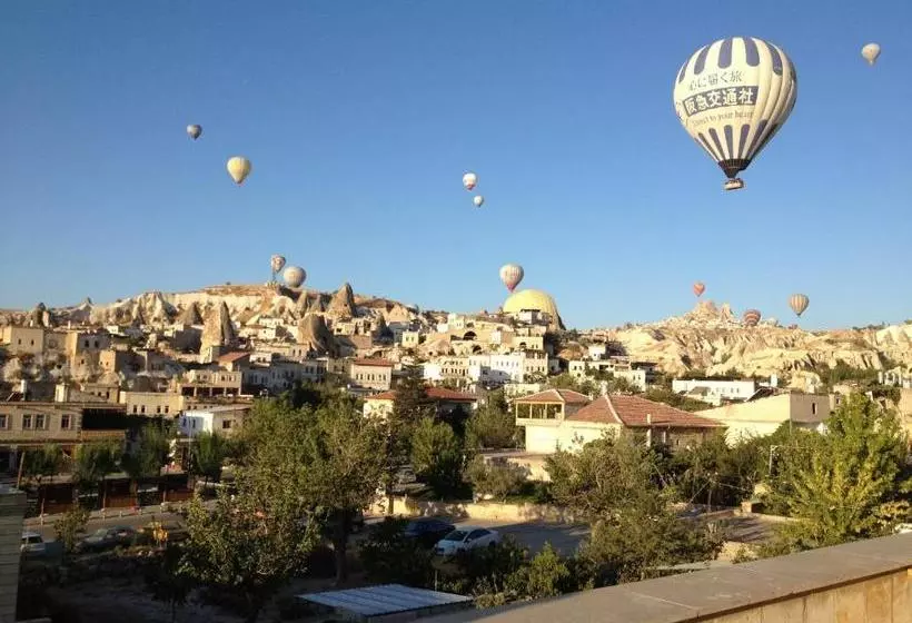 Fotos del hotel Walnut House:  7