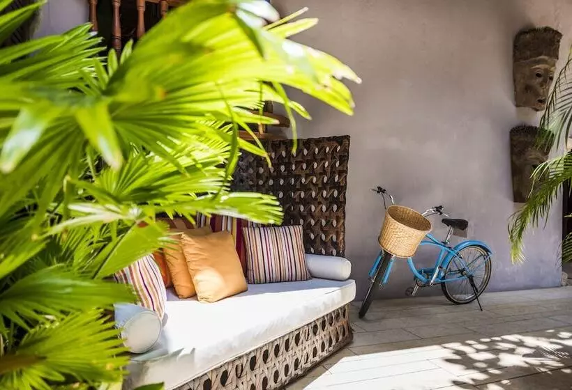 Fotos del hotel Ananda  Boutique  Es Cosmos:  11