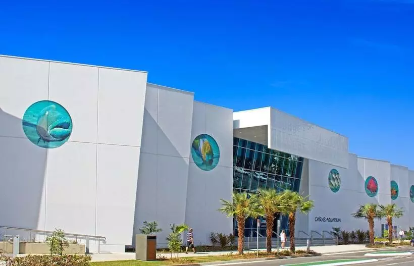 Fotos del hotel Koala Beach Resort Cairns:  15