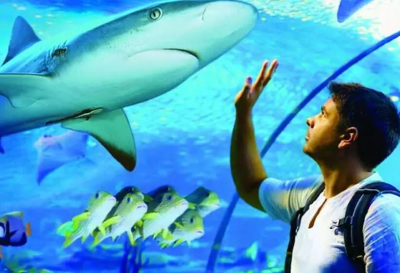 Fotos del hotel Koala Beach Resort Cairns:  2