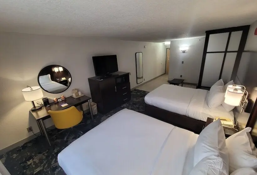 Fotos del hotel Comfort Inn & Suites Near Universal Orlando Resort-convention Ctr:  13