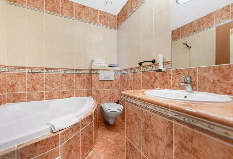 Fotos del hotel Hotel Palace:  8