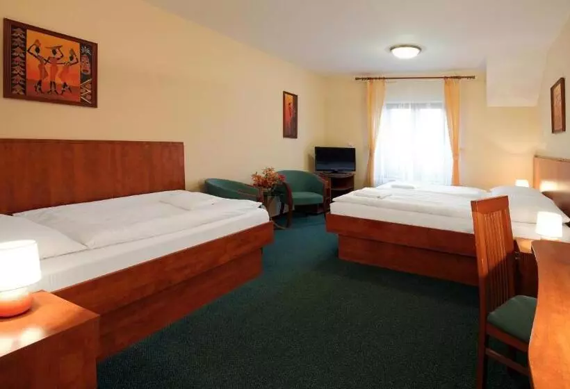 Fotos del hotel Hotel Palace:  18