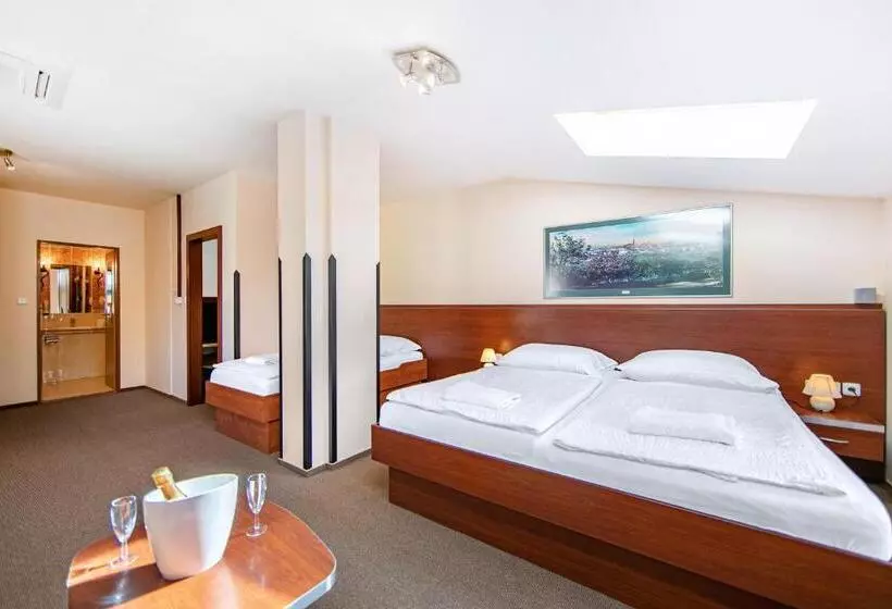 Fotos del hotel Hotel Palace:  19