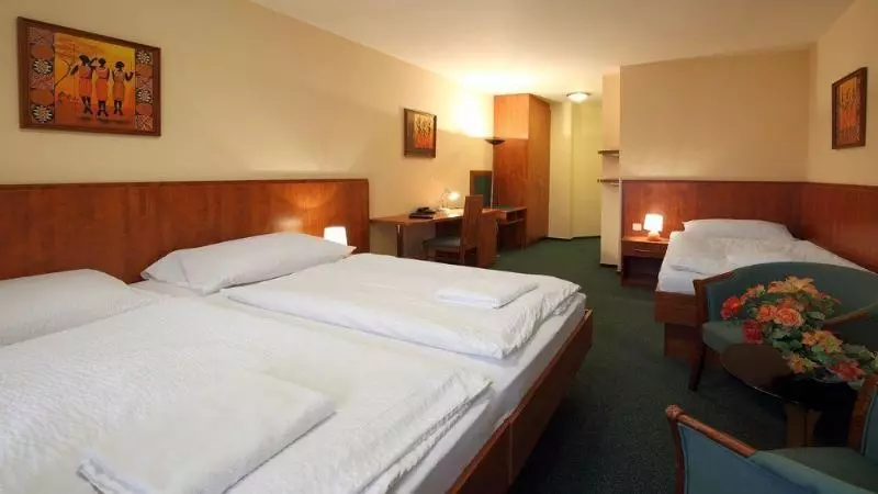 Fotos del hotel Hotel Palace:  12