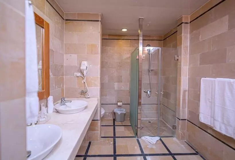 Fotos del hotel Presidential Suites Punta Cana:  15