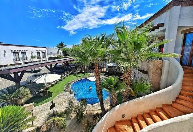 Fotos del hotel Seven Crown La Paz Centro Historico:  16