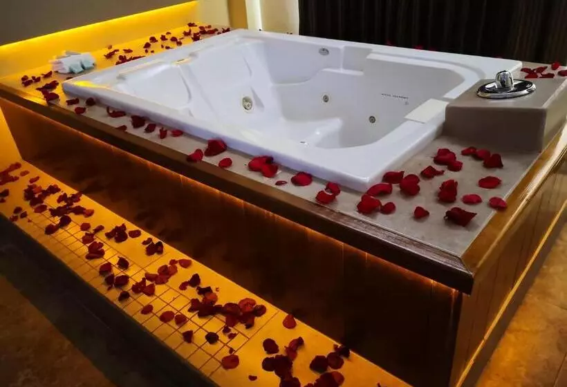 Fotos del hotel Seven Crown La Paz Centro Historico:  4