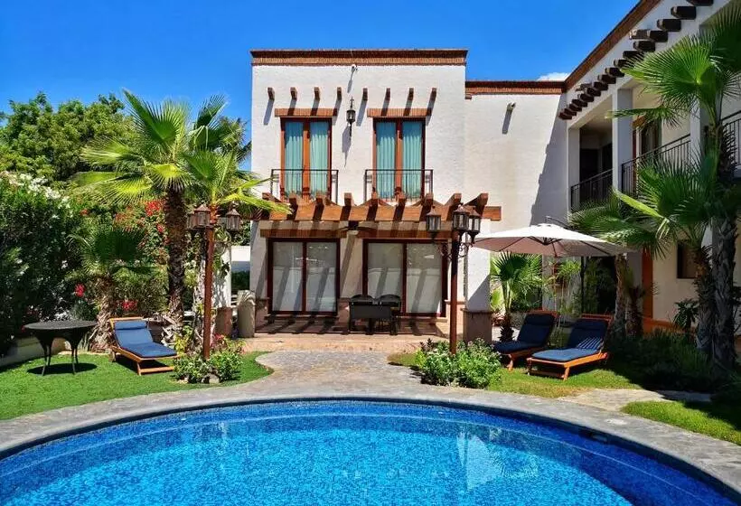 Fotos del hotel Seven Crown La Paz Centro Historico:  20