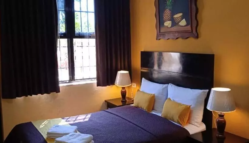 Fotos del hotel Del Peregrino:  24