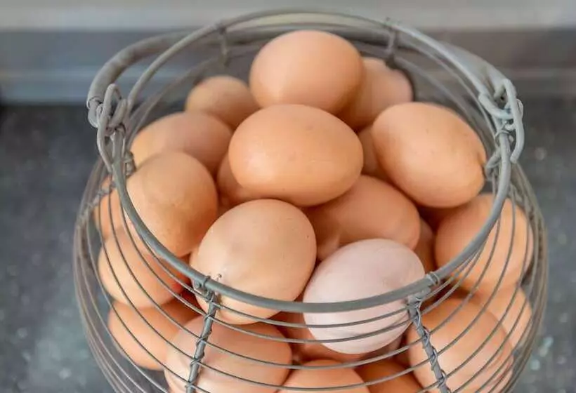 Fotos del hotel Queens Drive Hotel At Finsbury Park:  23