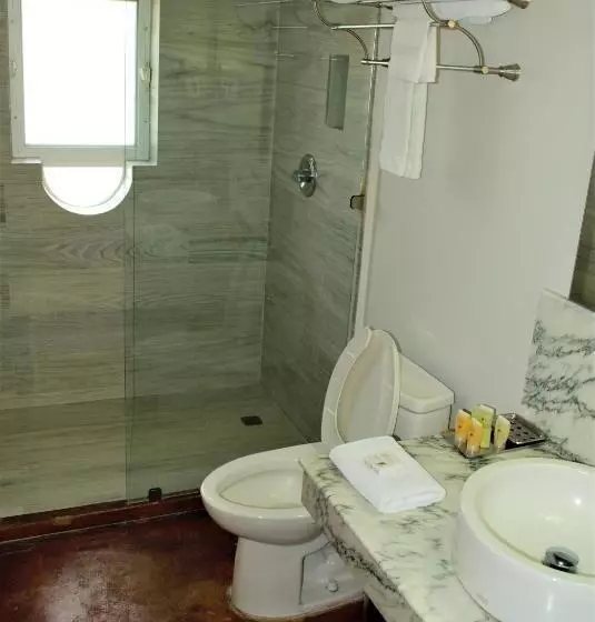 Fotos del hotel San Angel Suites:  6