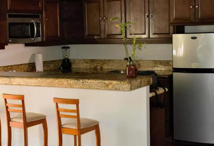 Fotos del hotel San Angel Suites:  11