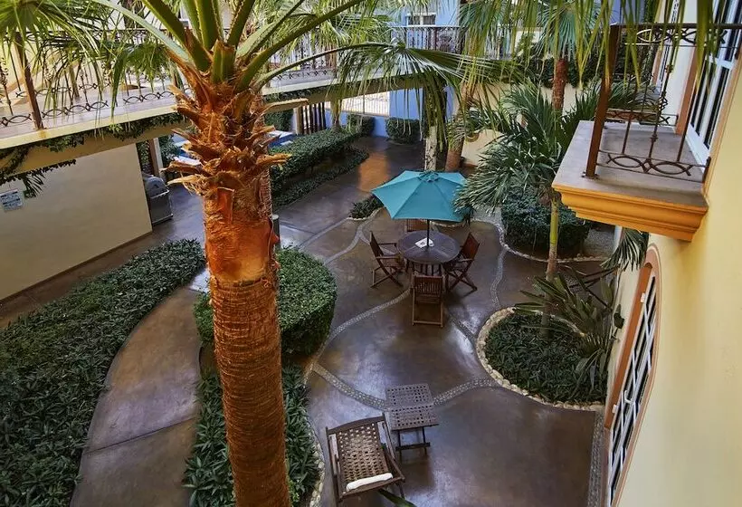 Fotos del hotel San Angel Suites:  10