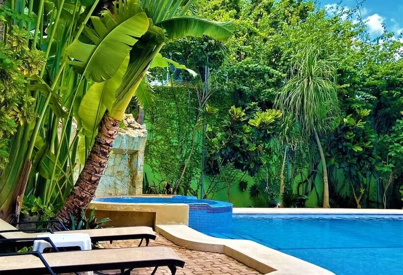 Fotos del hotel Lunasol:  21