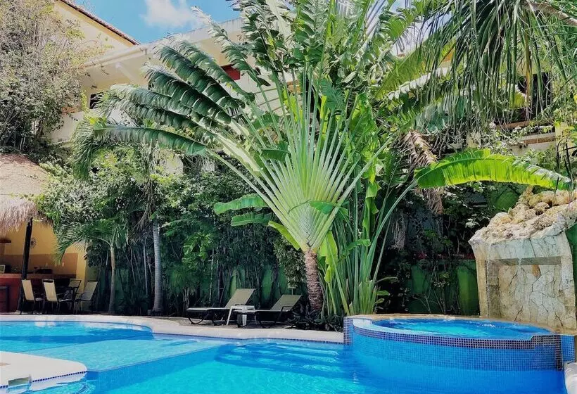 Fotos del hotel Lunasol:  11