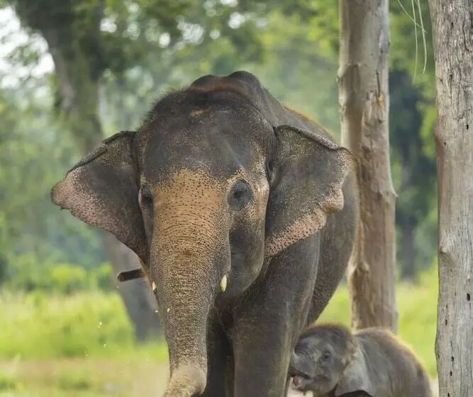 Fotos del hotel Parkside:  16