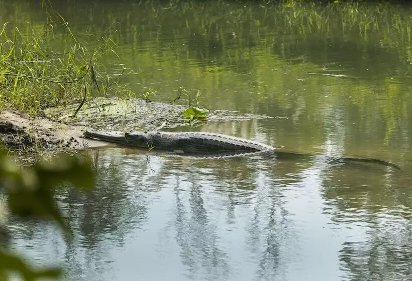 Fotos del hotel Parkside:  13