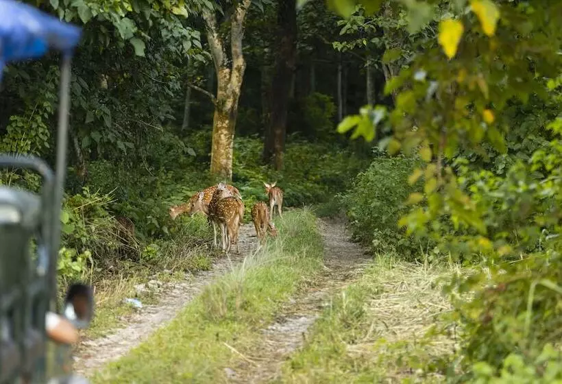 Fotos del hotel Parkside:  18
