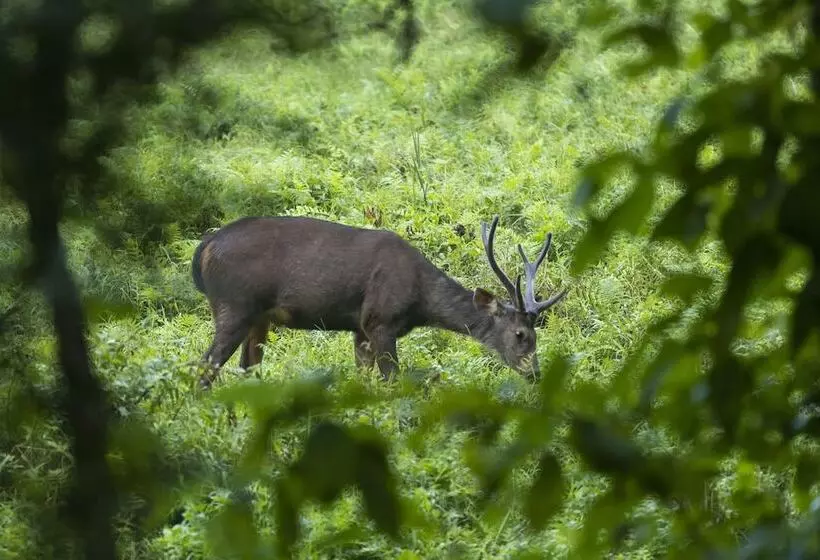 Fotos del hotel Parkside:  8