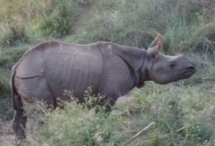 Fotos del hotel Parkside:  25