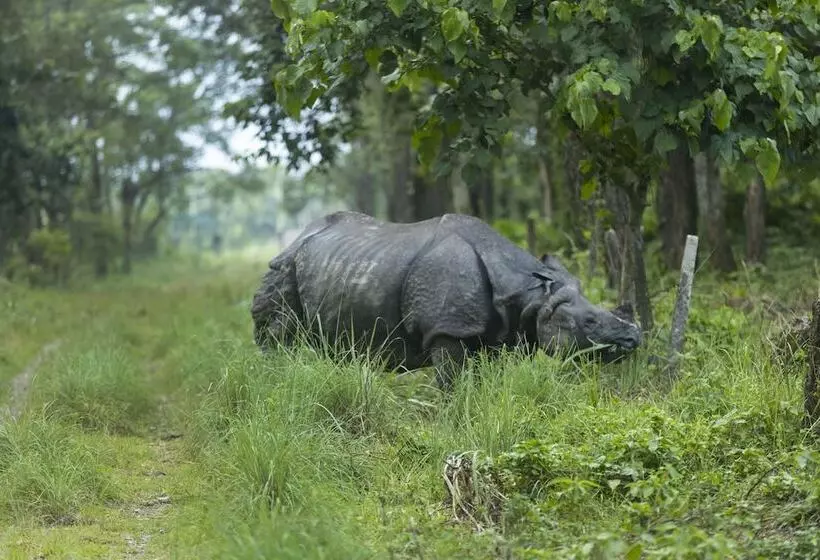 Fotos del hotel Parkside:  22