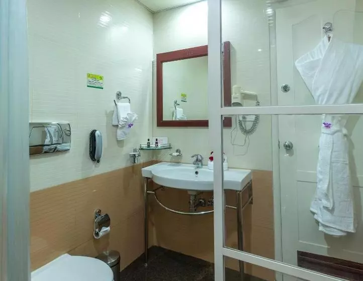 Fotos del hotel Pj Princess Regency:  10