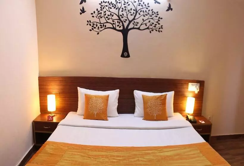 Fotos del hotel Morainic Hills:  14