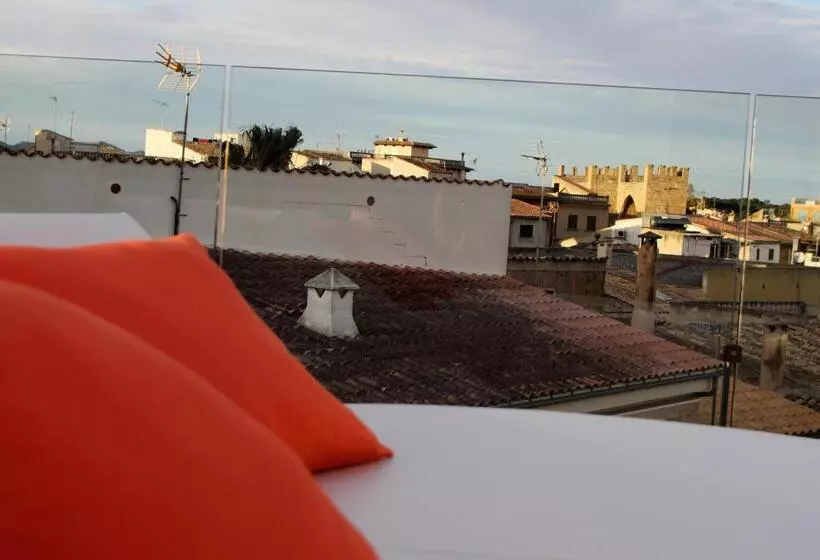 Fotos del hotel Alcudia Petit  Turismo De Interior:  5