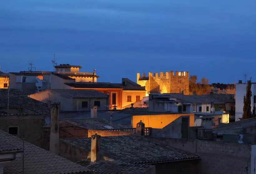 Fotos del hotel Alcudia Petit  Turismo De Interior:  10