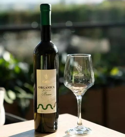 Fotos del hotel Grand:  7