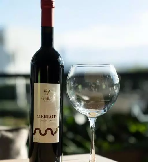 Fotos del hotel Grand:  12