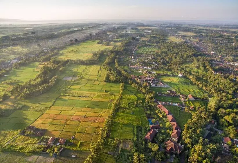 Fotos del hotel Bhuwana Ubud  And Farming:  7