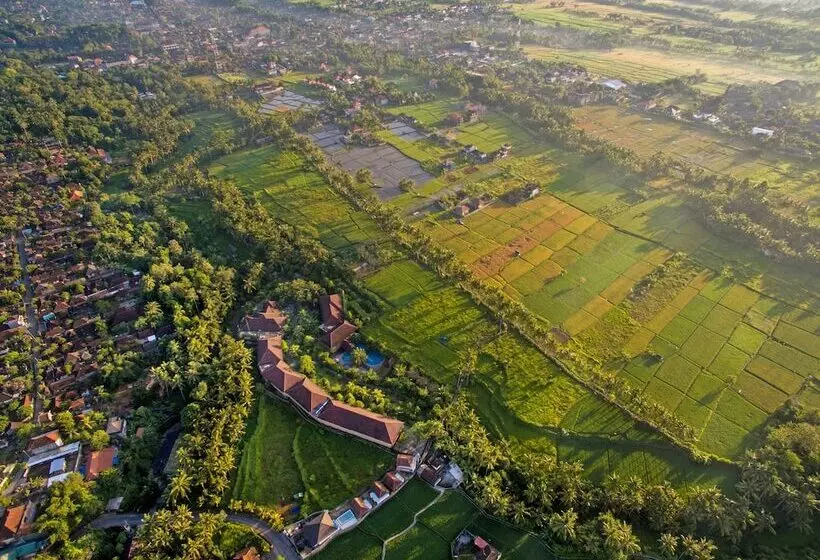 Fotos del hotel Bhuwana Ubud  And Farming:  14